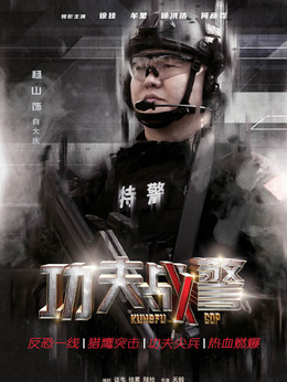 功夫战警_天天影视