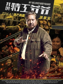 我的特工爷爷_天天影视