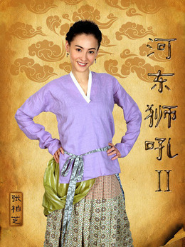 河东狮吼2_天天影视