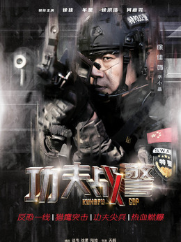 功夫战警_天天影视