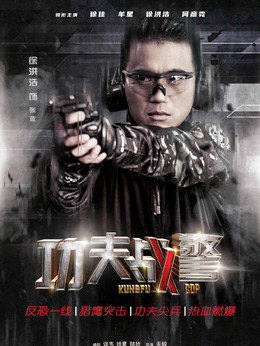 功夫战警_天天影视