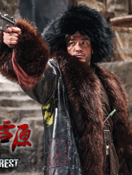 林海雪原_天天影视