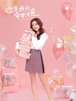 你是我的命中注定_天天影视