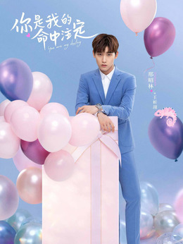 你是我的命中注定_天天影视