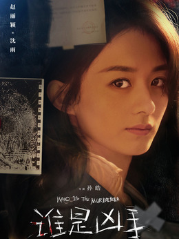 谁是凶手_天天影视