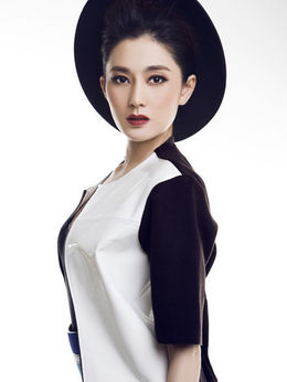 京城大状师_天天影视