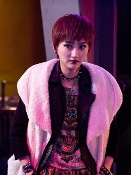 警察故事2013_天天影视