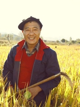 乡村爱情小夜曲_天天影视