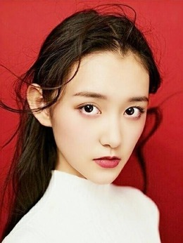 清枫传奇_天天影视