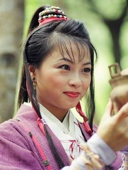 天龙八部_天天影视