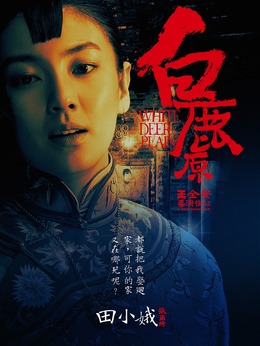 白鹿原_天天影视