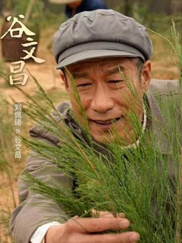 谷文昌_天天影视