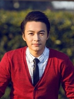 中华英雄_天天影视