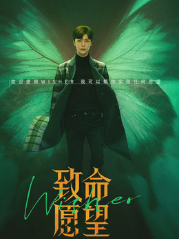 致命愿望_天天影视