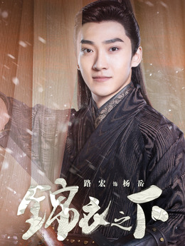 锦衣之下_天天影视