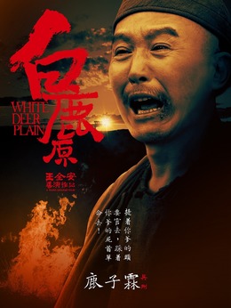 白鹿原_天天影视