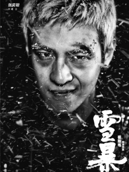 雪暴_天天影视
