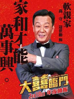 大喜临门_天天影视