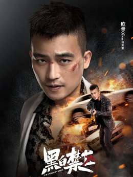 黑白禁区_天天影视