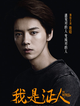 我是证人_天天影视