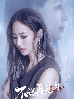 不说再见_天天影视