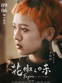 花椒之味_天天影视