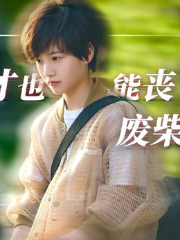 二十不惑_天天影视