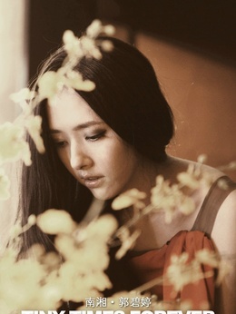 小时代3：刺金时代_天天影视