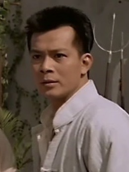 醉拳2_天天影视