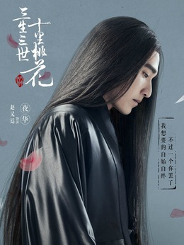 三生三世十里桃花_天天影视
