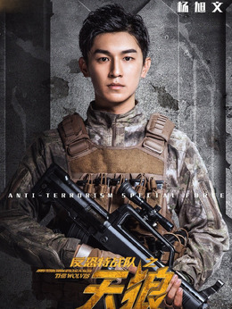 反恐特战队之天狼_天天影视