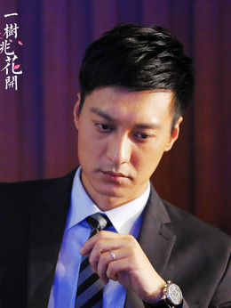 一树桃花开_天天影视