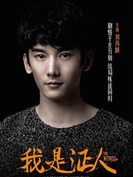 我是证人_天天影视