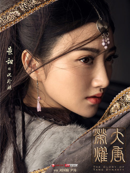 大唐荣耀_天天影视