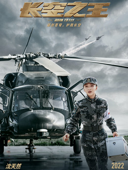 长空之王_天天影视