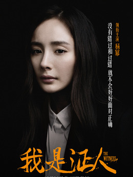 我是证人_天天影视