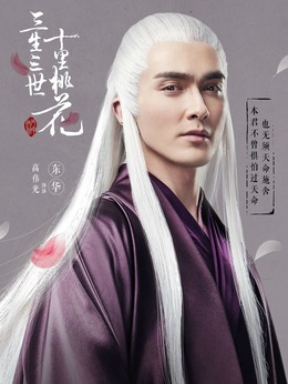 三生三世十里桃花_天天影视