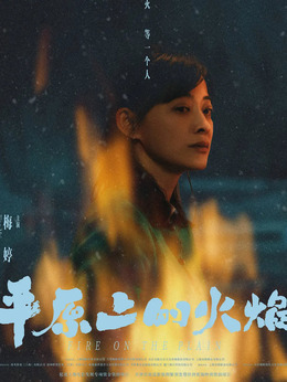 平原上的火焰_天天影视