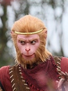 新西游记_天天影视