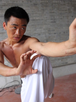 蔡李佛拳_天天影视