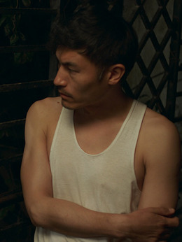 嘉年华_天天影视