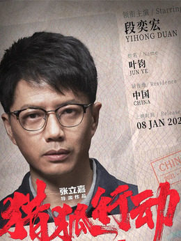 猎狐行动_天天影视