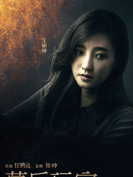 幕后玩家_天天影视