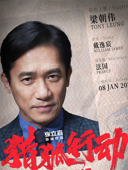 猎狐行动_天天影视