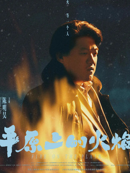 平原上的火焰_天天影视