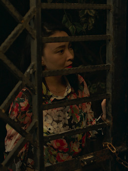 嘉年华_天天影视