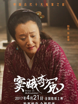 窦娥奇冤_天天影视