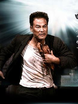 叶问2:宗师传奇_天天影视