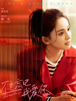 不要忘记我爱你_天天影视