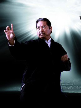 叶问2:宗师传奇_天天影视